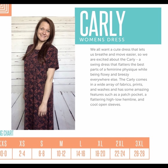 - ❤️ Lularoe Carly XL Dress. - Picture 8 of 10